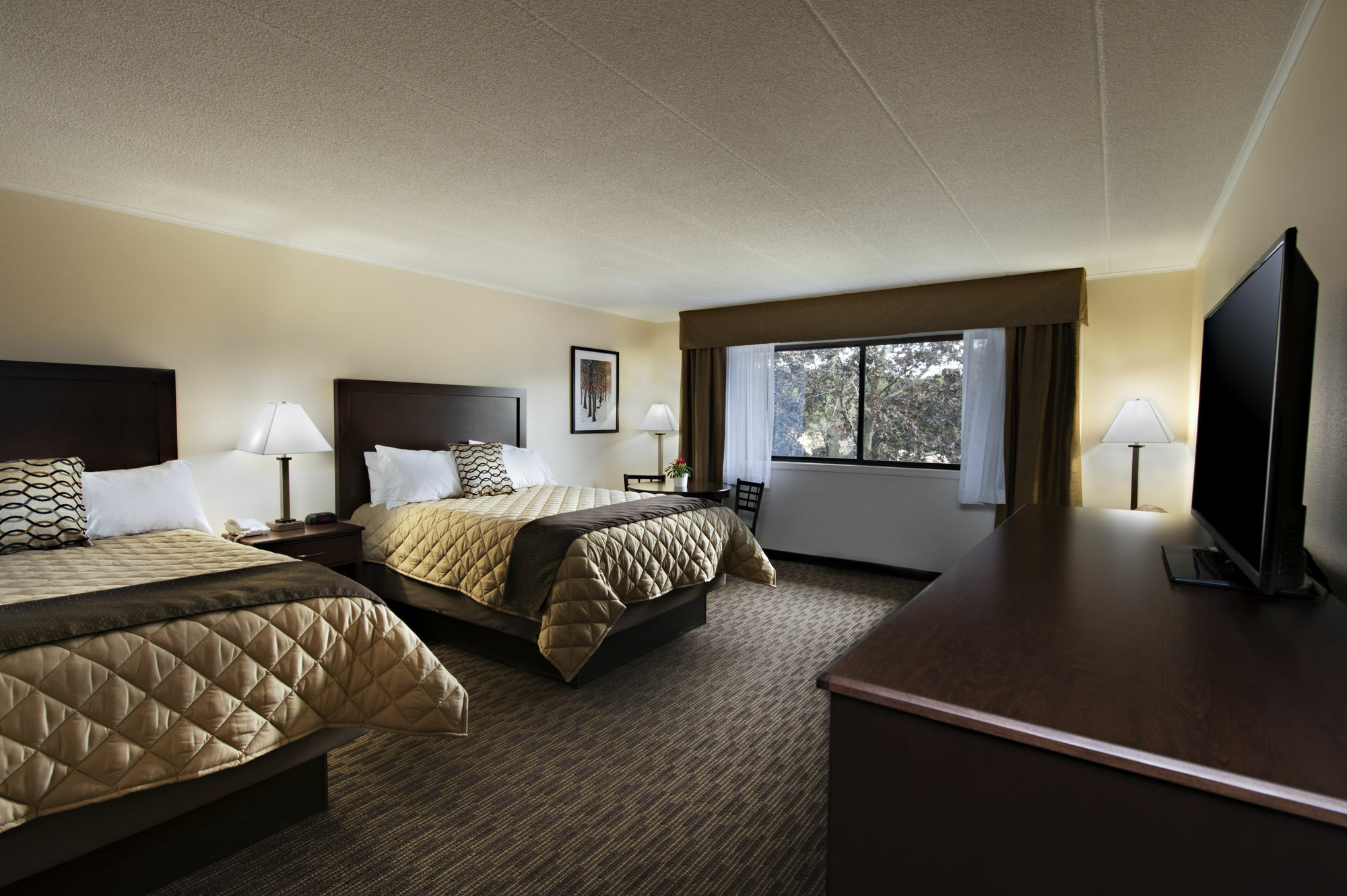 Chestnut Mountain Resort Galena Extérieur photo