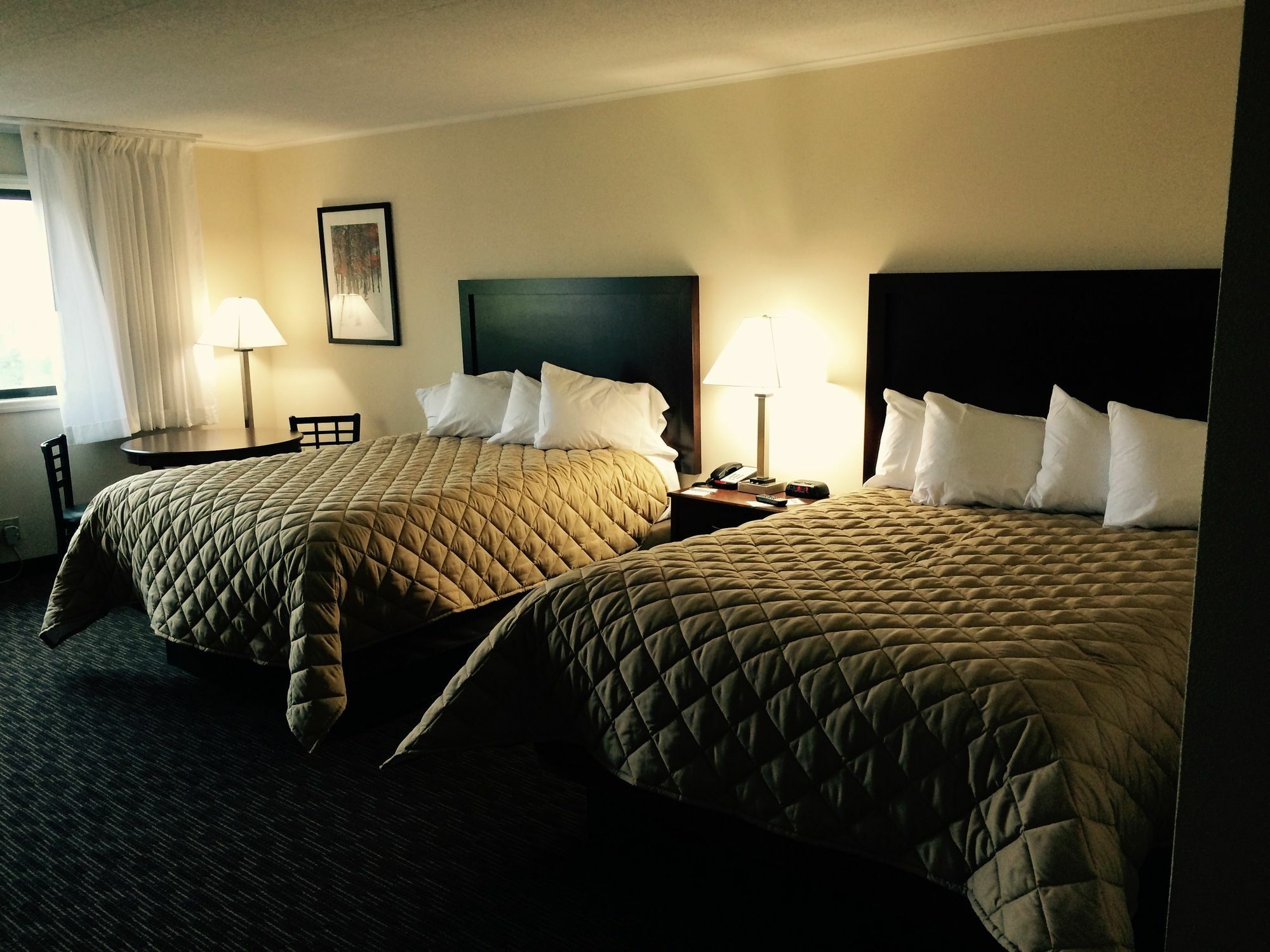 Chestnut Mountain Resort Galena Extérieur photo
